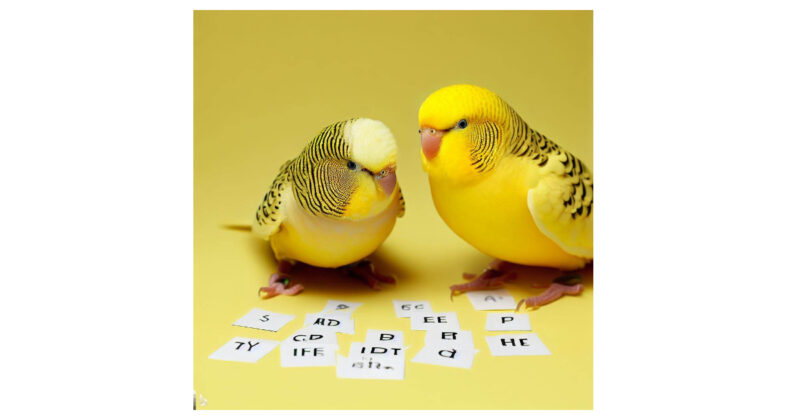 The world where various letters are flying around. Happy yellow budgies. Prophoto